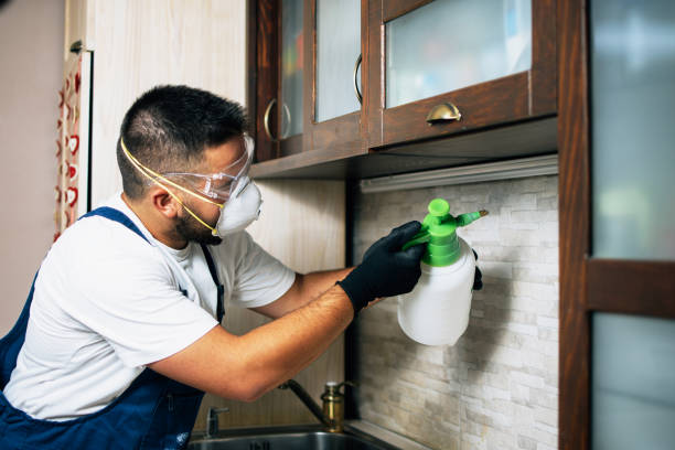 Trusted Waukegan, IL Pest Control Experts