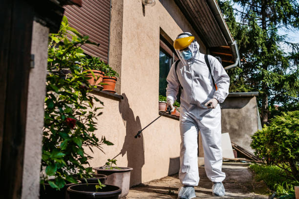 Best Affordable Pest Control Services  in Waukegan, IL