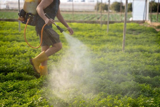 Best Wasp Removal Services  in Waukegan, IL