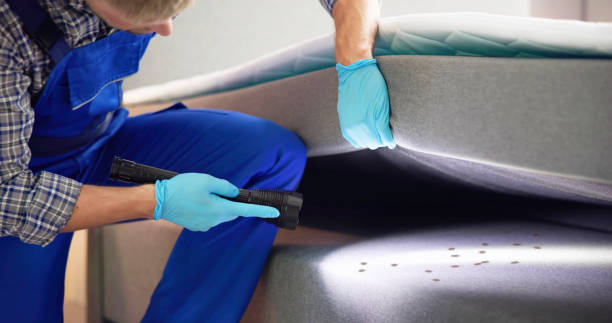 Best Residential Pest Control  in Waukegan, IL