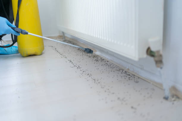 Best Emergency Pest Control  in Waukegan, IL