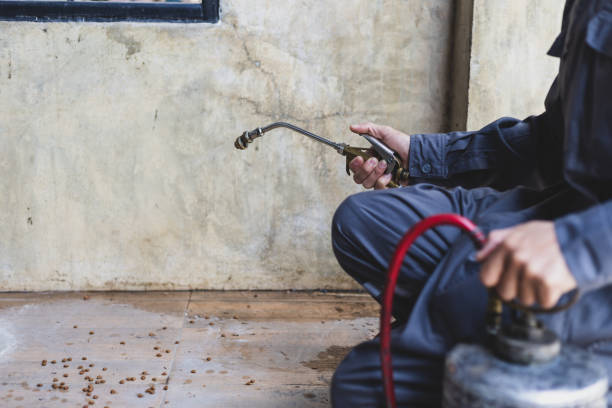 Best Affordable Pest Control Services  in Waukegan, IL