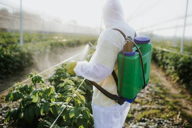 Best Pest Removal Services  in Waukegan, IL
